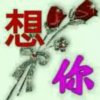 真爱永恒的头像