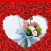 
</dl>
<dl class=