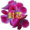 封芯（友访必回）的头像