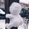 蓝色 宠爱的头像