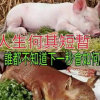  的头像