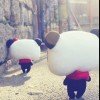 人生如戏的头像