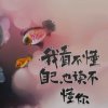 『风影无踪』的头像