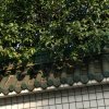 幸福人生的头像