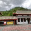 飞跃的头像