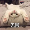 相思雨的头像