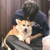 等他卸载了的头像