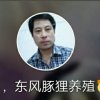 平凡，，东风豚狸养殖的头像
