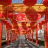 海之恋的头像