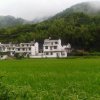 雨中漫步（暂停）的头像