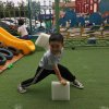 飞鱼的头像