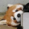 杜康的头像