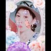 温馨的头像