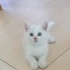 醉梦的头像
