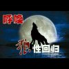 狼的头像