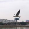一缕阳光的头像