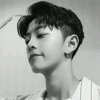 Xsinger柠檬的头像