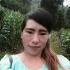 温柔的谎言的头像