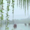 多多的头像