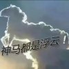 娜皇温柔的头像