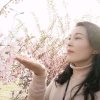 云卷云舒（不听勿评）的头像