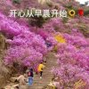 太阳来啦的头像