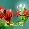 红尘过客的头像