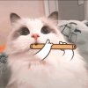 骨zi里的温柔的头像