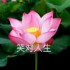 平淡一生的头像