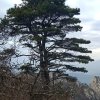 自由风的头像