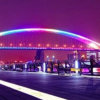 桥上彩虹的头像