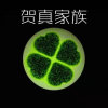 红玫（往日真情全新上线）的头像