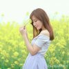 彩 虹云 宣传副部长菲儿 (停币)的头像