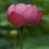 花好月圆qzuser的头像