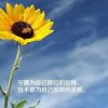 华强手机的头像