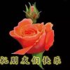 青山绿水的头像