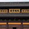 佛渡有缘人的头像