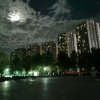 心湖的头像