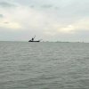 红尘客的头像