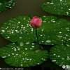 忆昔的头像