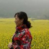 思丽的头像