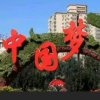 追心的箭的头像