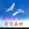 风雨同行的头像