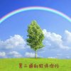 第二道彩虹的头像