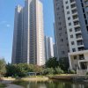 平平安安的头像