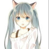 【音】凉琴的头像