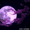 永恒之歌（暂退）的头像