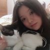 紫辰的头像