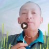 甜蜜 漂泊人生的头像