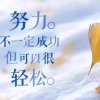 逐梦清荷的头像